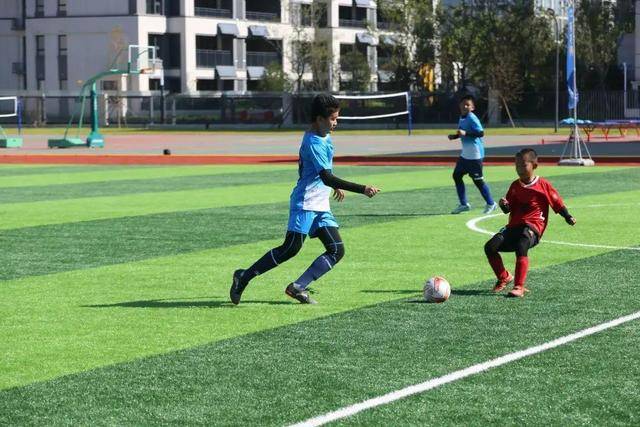 冯莱重返上海男篮 与费雷尔成新赛季外援搭档